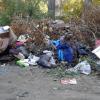 Мусор несут даже дворники с соседних дворов