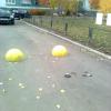 Фотография 2
