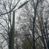 Фотография 1
