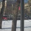 вид из окон нашего дома