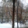 Фотография 2