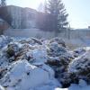 фото с ресурса http://www.kurer-sreda.ru/2015/02/18/171608
