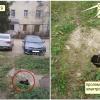 фото  места повреждения и следов автомашины