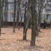Сумская ул, между домом 8 к 2 и детским садом