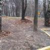 Тоже ул Введенского д 10, к2. Листва собрана в приствольном круге
