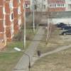 Пешеход идет по грунтовой дороге