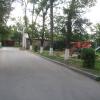 Фотография 1