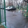 Фотография 2