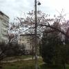 Фотография 1