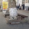 Фотография 1