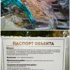 Фотография 1