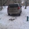 Фотография 2