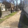Фотография 1