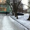 Фотография 1