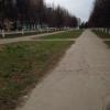 Фотография 1