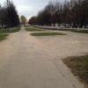 Фотография 2