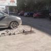 Фотография 3