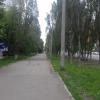 Фотография 1