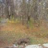 Фотография 9