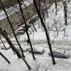 Фото из дома по адресу Новочеркасский 62