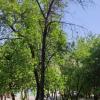 Фотография 2