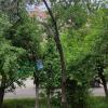 Фотография 1
