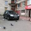 Фотография 5