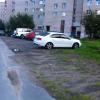 Фотография 1