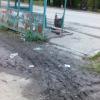 Фотография 7