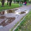 Фотография 1
