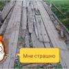 Фотография 1