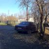 Фотография 3