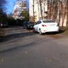 Фотография 1
