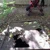 Фотография 3