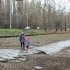 Тротуарная дорожка полностью разломана