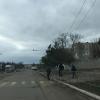 дети идут из школы