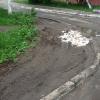 Спилиные ветки лежат более 2-х месяцев на газоне в зоне придомовой территории
