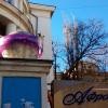 Фотография 1