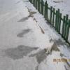 Фотография 7