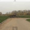 Фотография 3