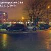 Фотография 6