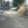Фотография 2