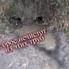 Фотография 1