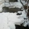 Фотография 6