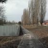 Фотография 7