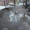 Фотография 3