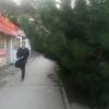 Фотография 1