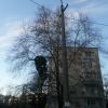Фотография 5