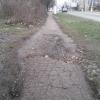 Фотография 1
