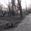 Фотография 1